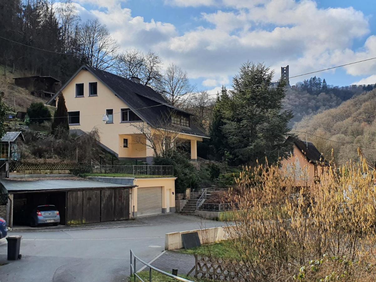 Grosses Ferienhaus Sauerburgblick Sauerthal Экстерьер фото
